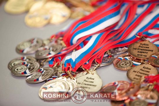 Фото 8. Кубок РФ по Косики каратэ 2010 (... и медали)