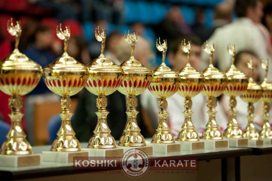 Фото 1. Кубок РФ по Косики каратэ 2010 (трофейные кубки)